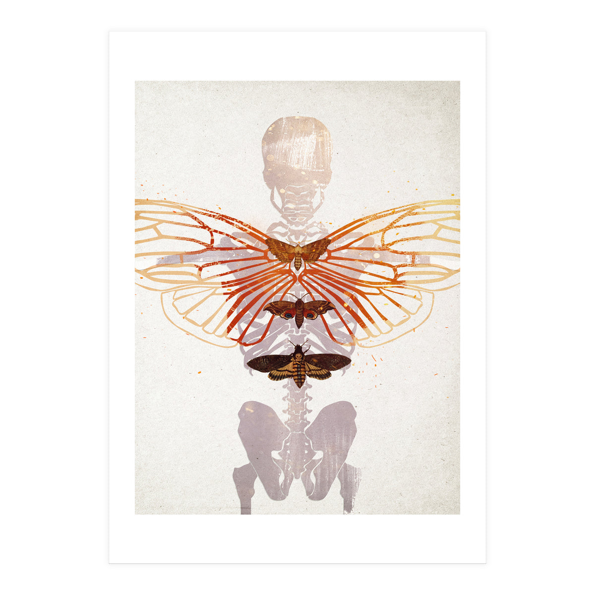 Ikarus - Like a Moth to the Flame (Print Only)