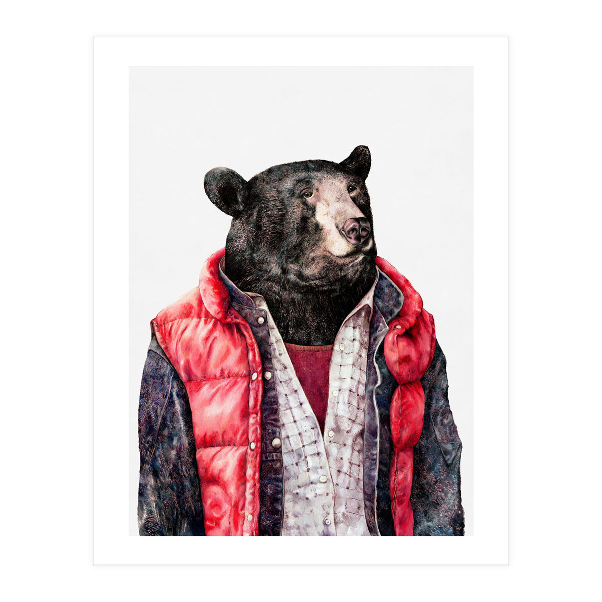 Black Bear (Print Only)