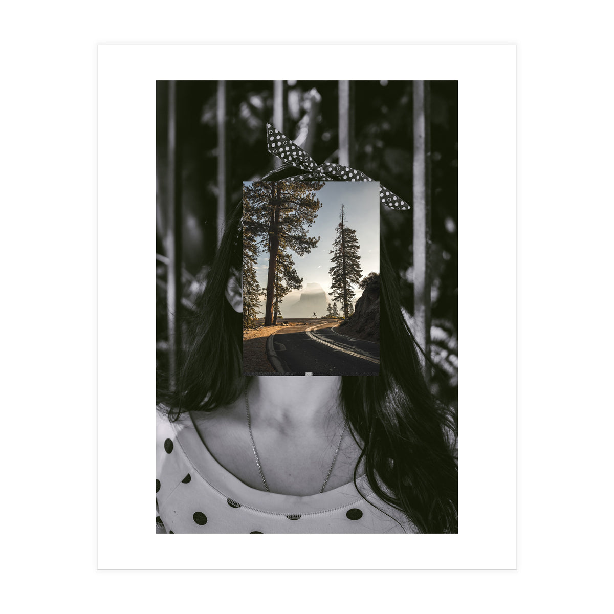 Silva Where Are You? (Print Only)