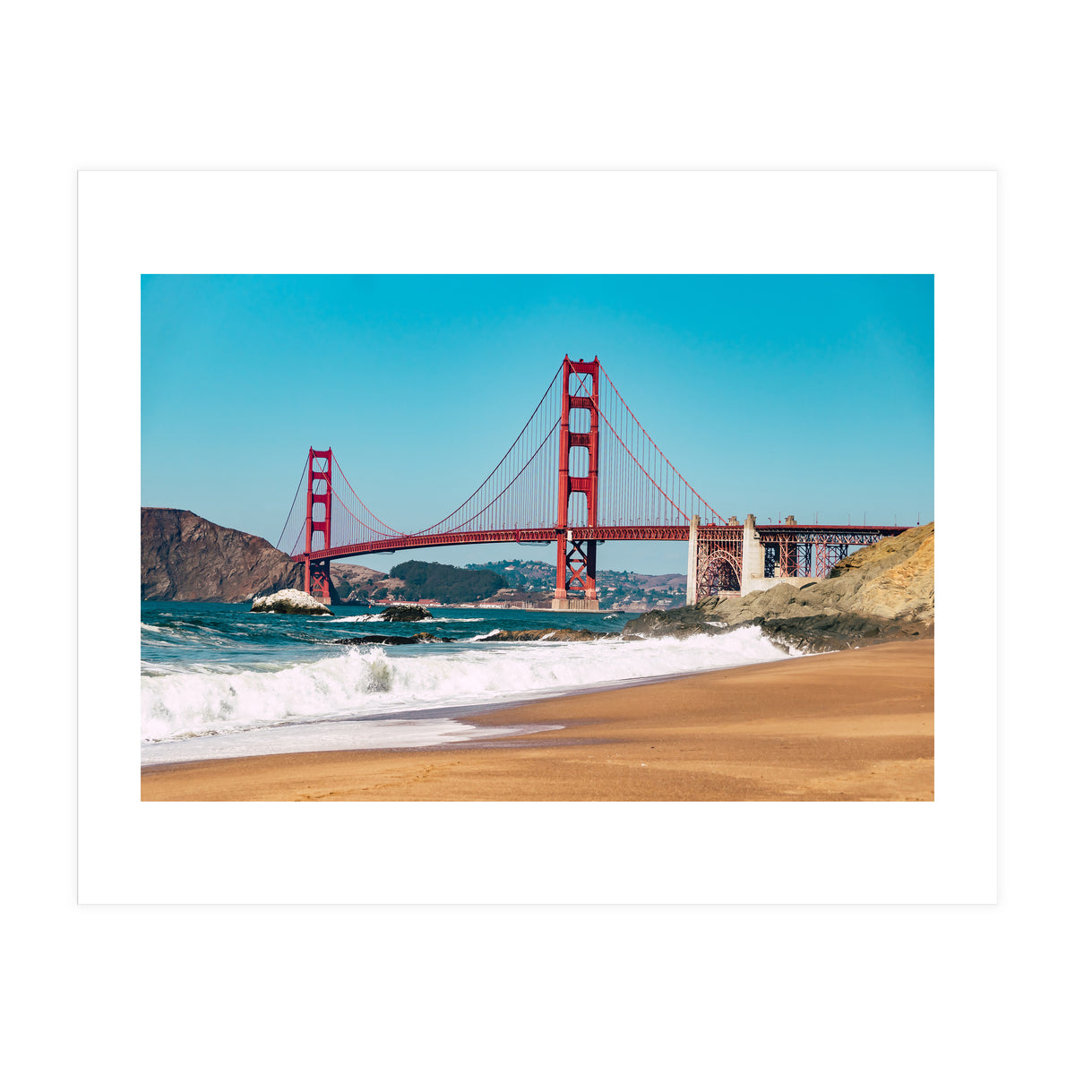 Amaranth (Print Only)