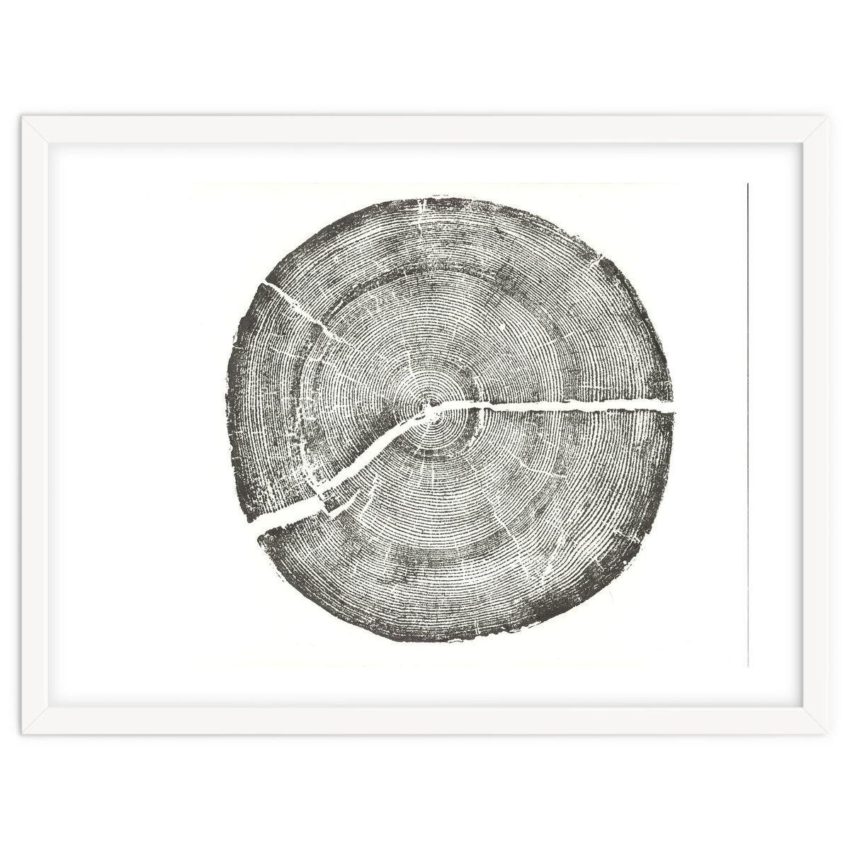 Rock Canyon, Tree Ring Print, Woodblock