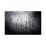 hair (Print Only) thumbnail