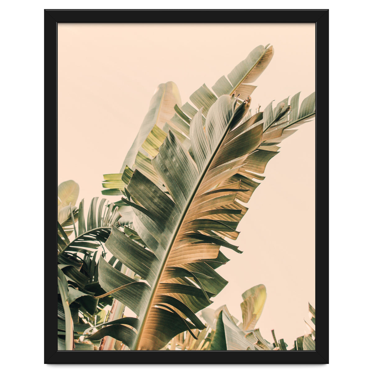 Growing Green Alicia Bock