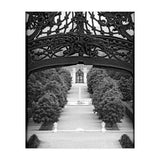 Baroque garden (Print Only) thumbnail