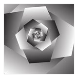 Monochrome Rose Spiral  (Print Only) thumbnail