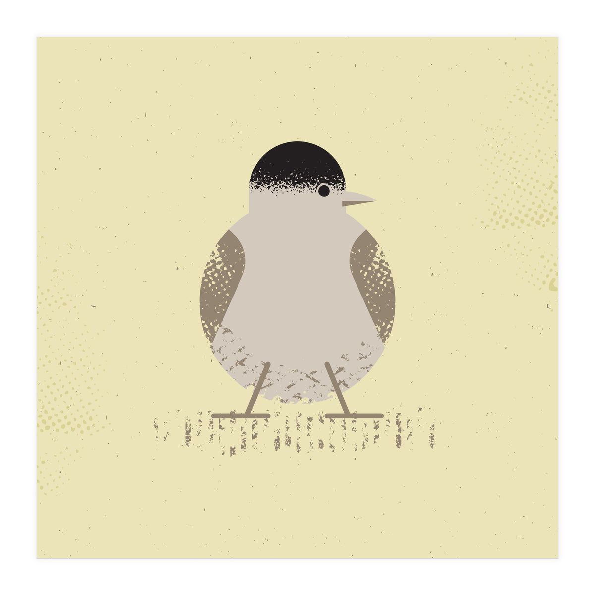 Blackcap 2 (Print Only)