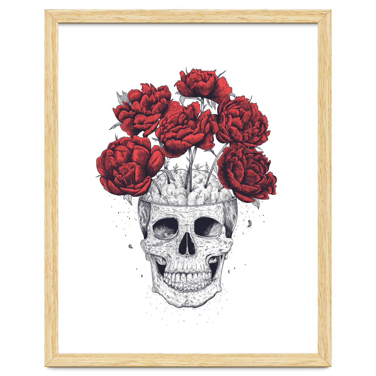 Skull With Peonies