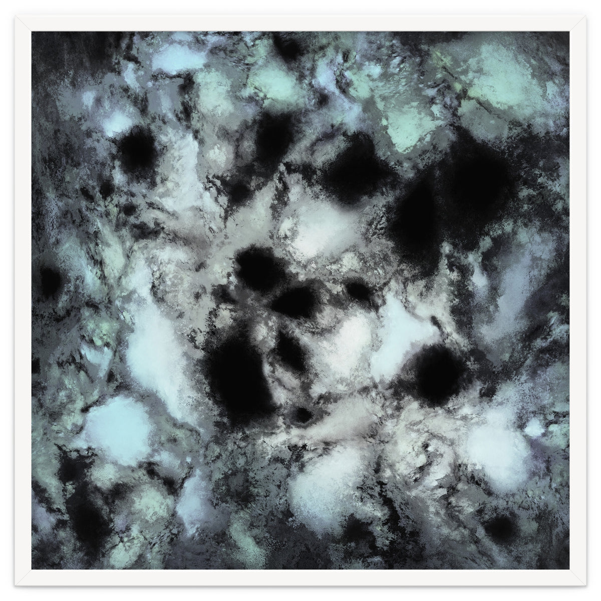 Searching For Animal Tracks