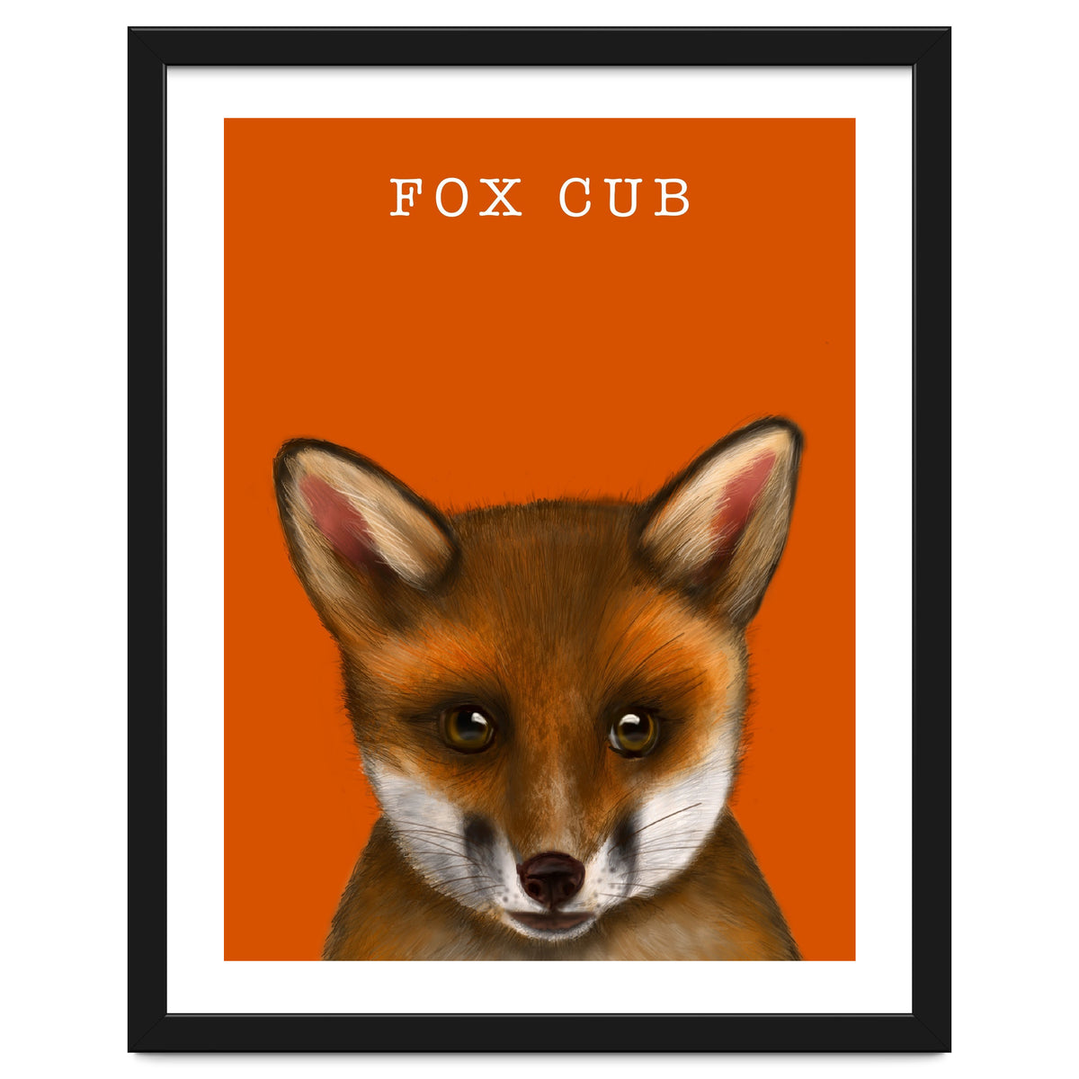 Fox Cub