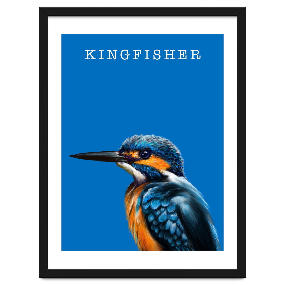 Kingfisher