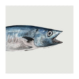 Fish pt1 (Print Only) thumbnail