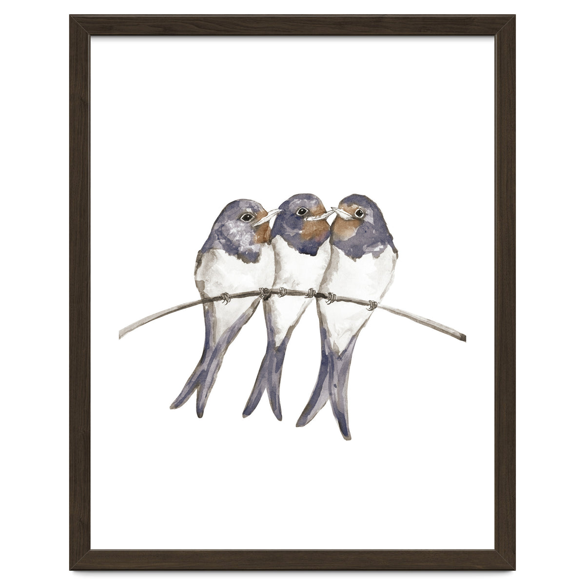 Three young swallows