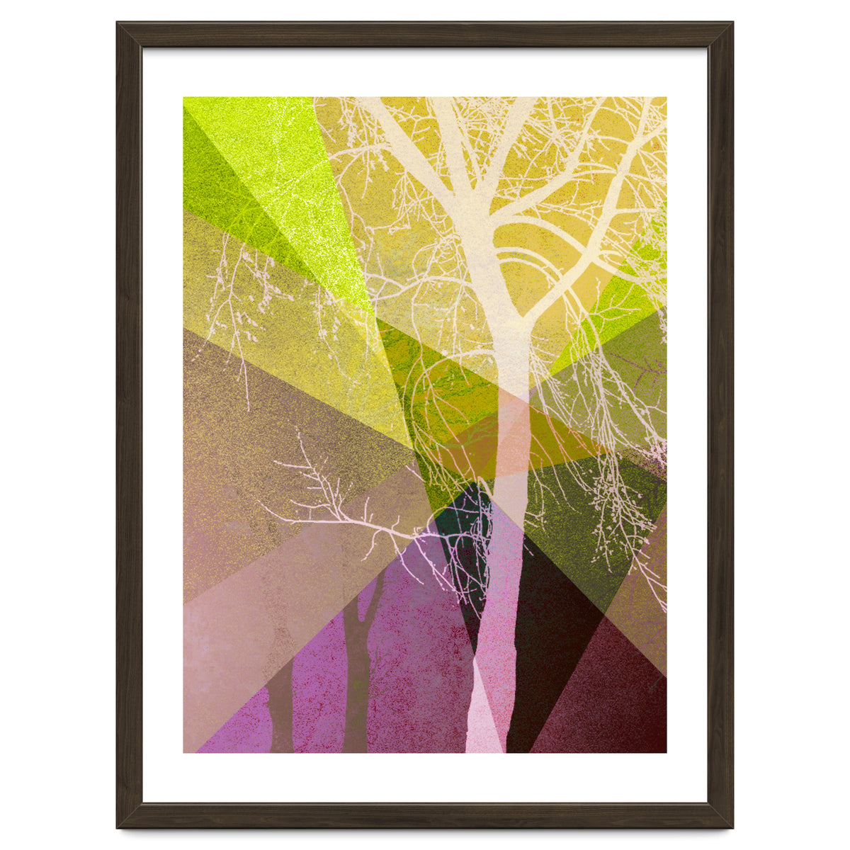 P22 A Trees And Triangles