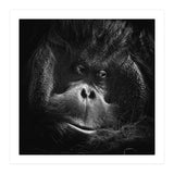 Reasoning (Print Only) thumbnail