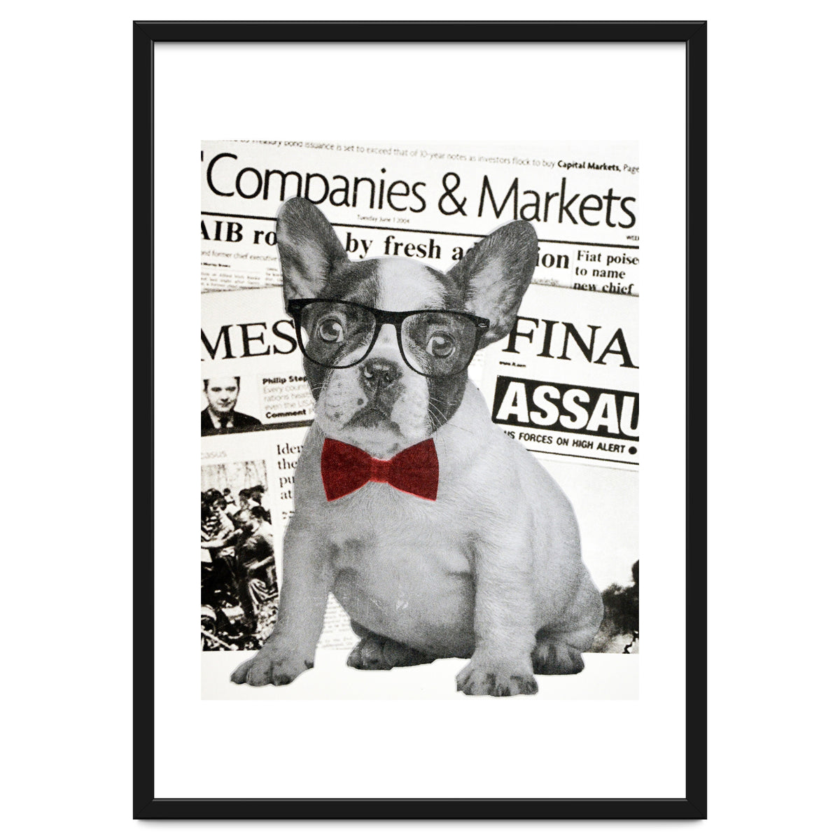 The Dog Of Wall Street