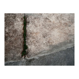 Urban #1 (Print Only) thumbnail