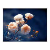 Rose Garden (Print Only) thumbnail