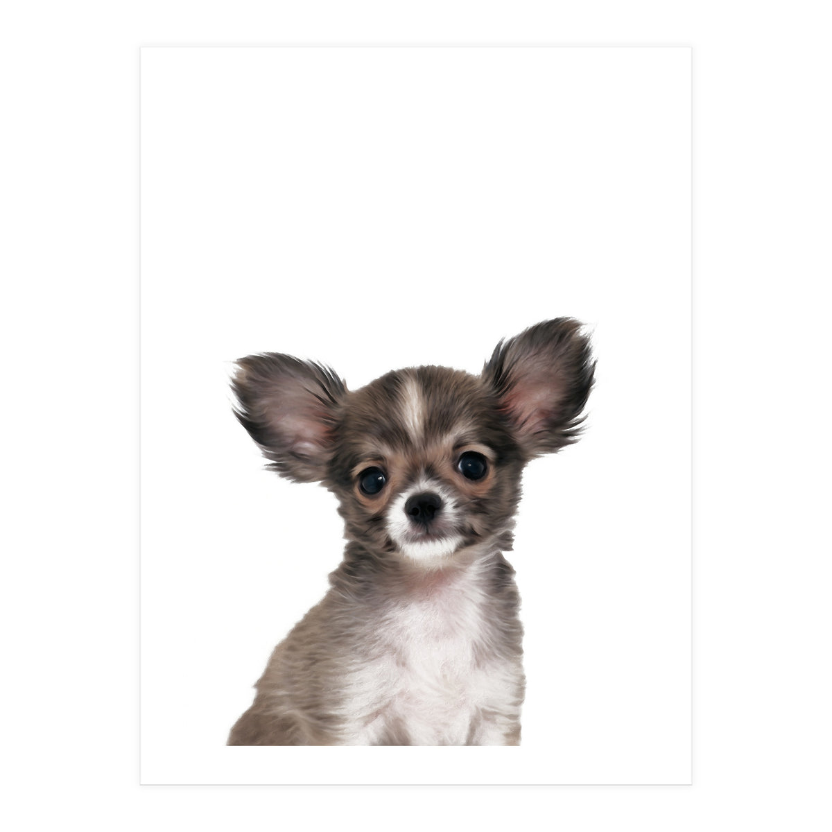 Chihuahua (Print Only)