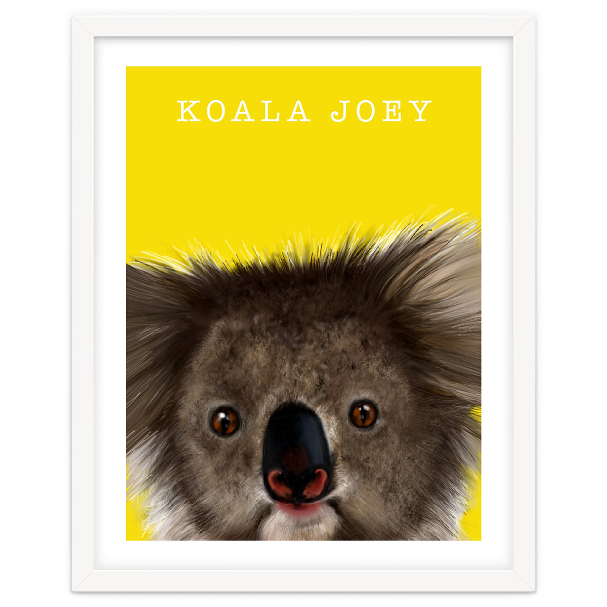 Koala Joey