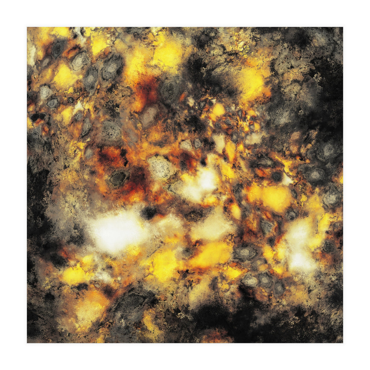 Embers (Print Only)