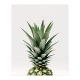 Pineapple Top (Print Only) thumbnail