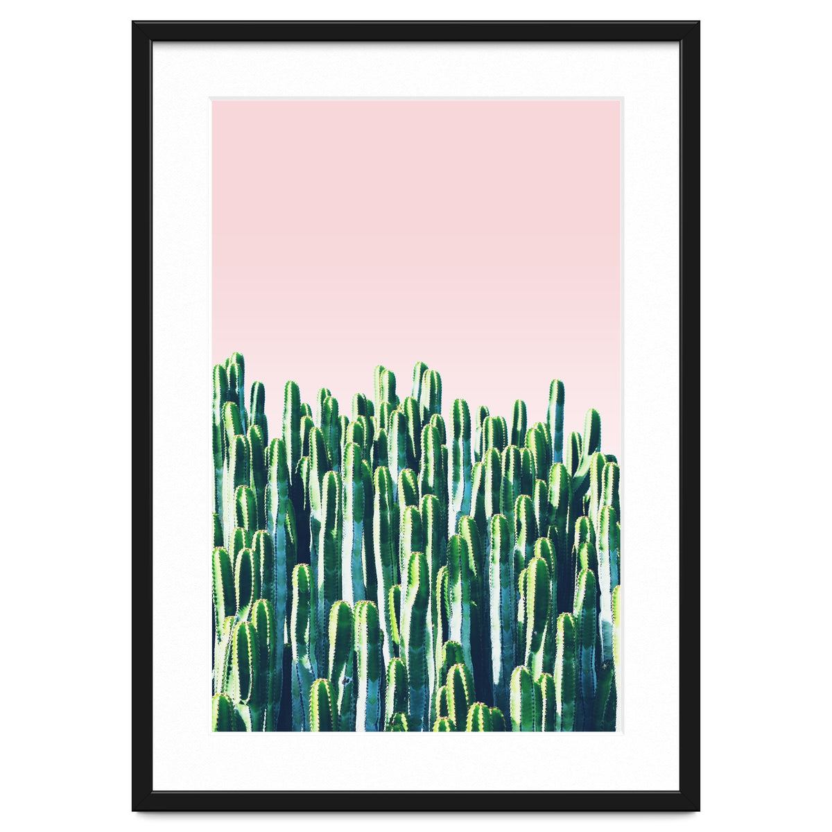 Cactus & Sunset I