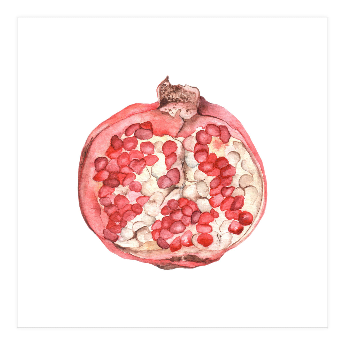 Pomegranate (Print Only)