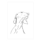 Smell  (Print Only) thumbnail