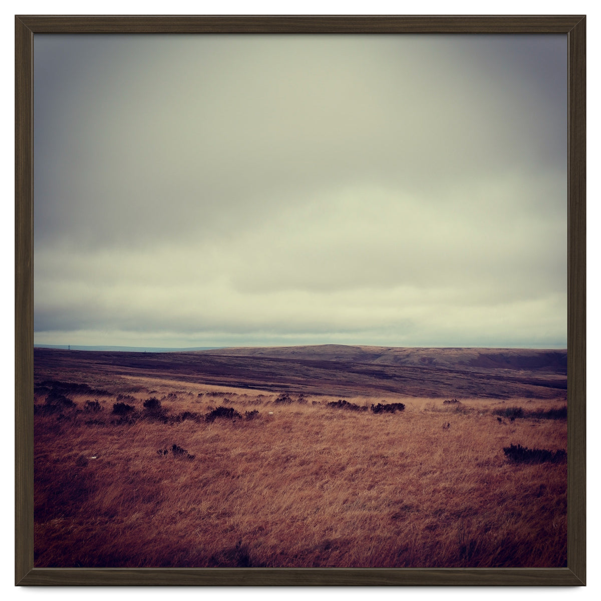 Bleak winter landscape of Saddleworth Moor