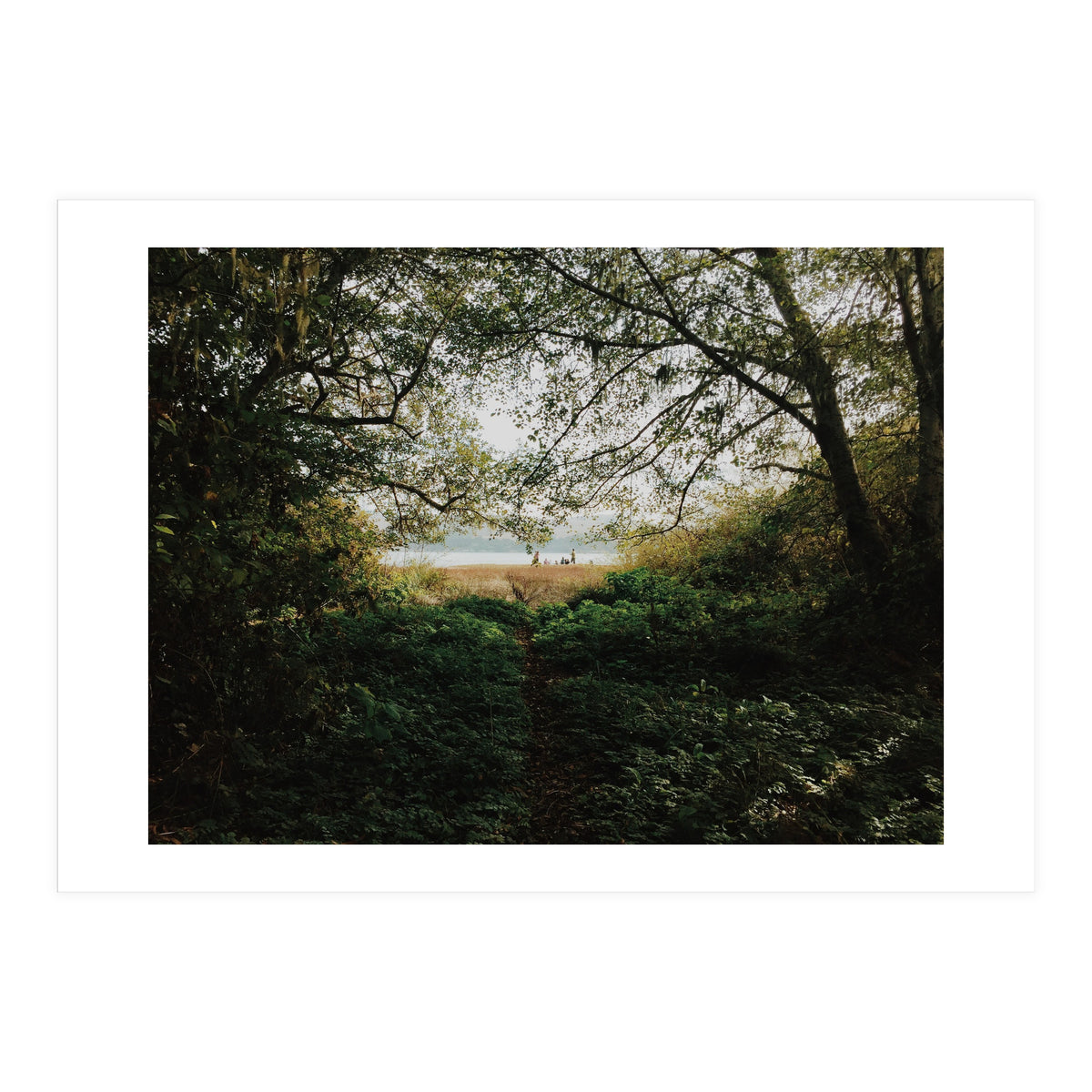 Tomales Bay (Print Only)