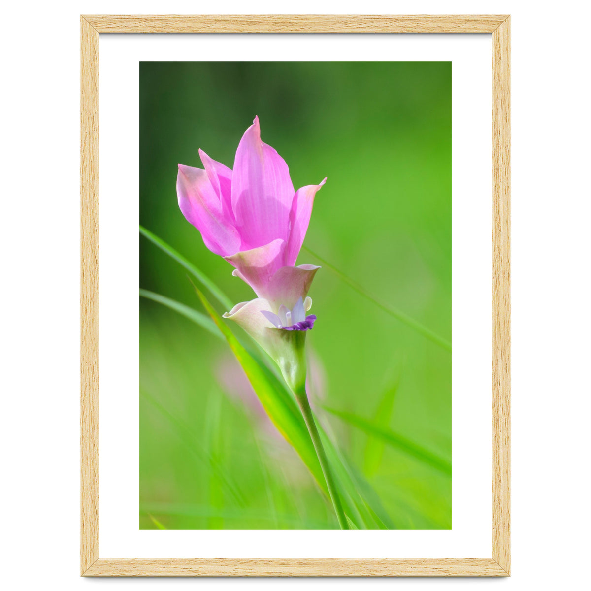 Nature 4000x6000 (12)