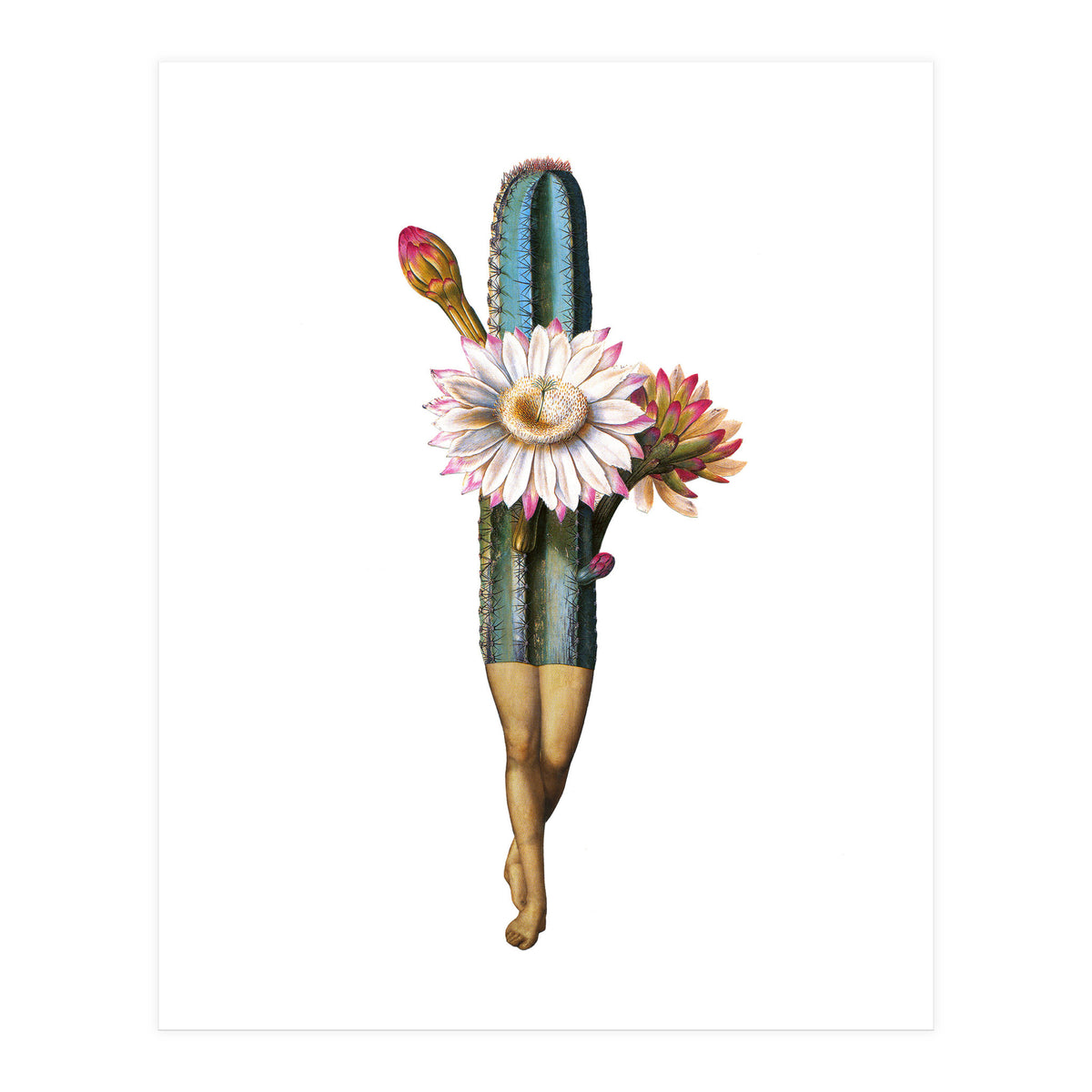 Night Bloomer (Print Only)