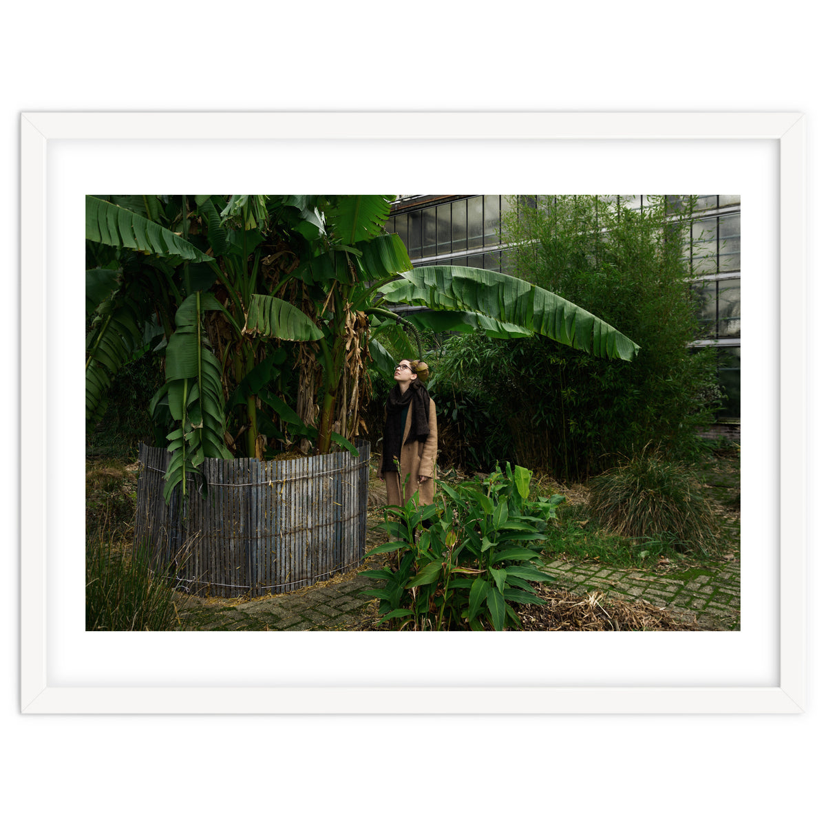 Transition from Summer to Winter