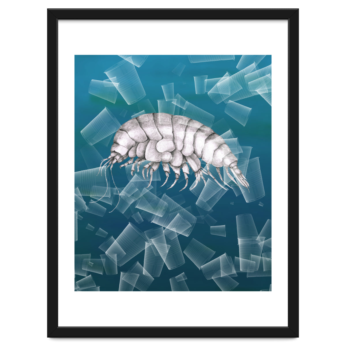 Eurythenes Plasticus