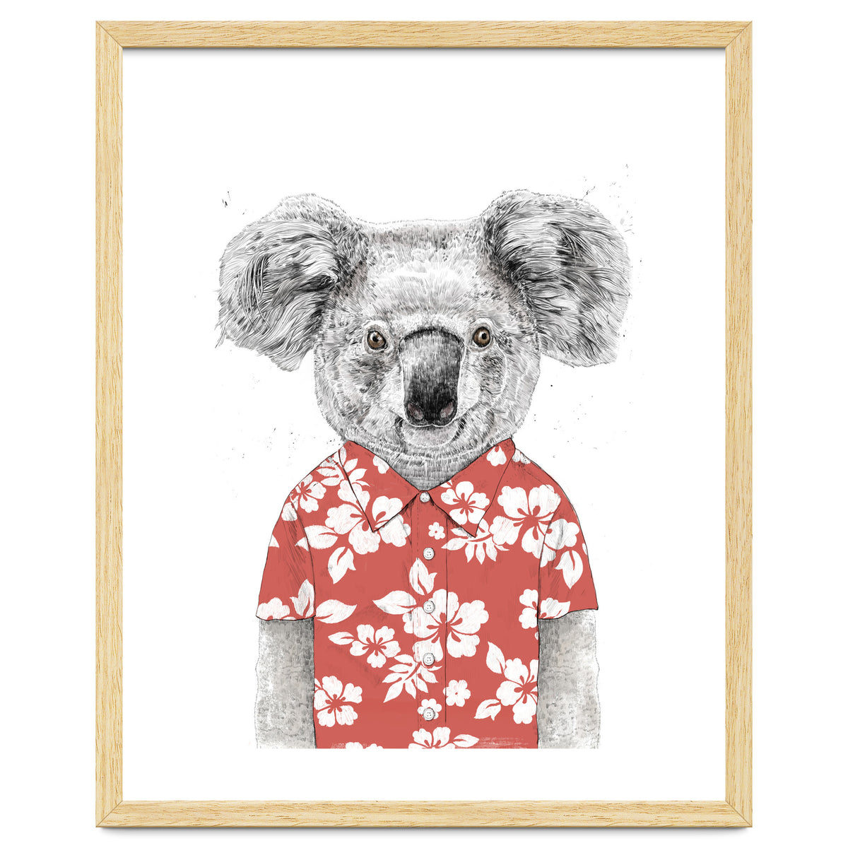 Summer Koala