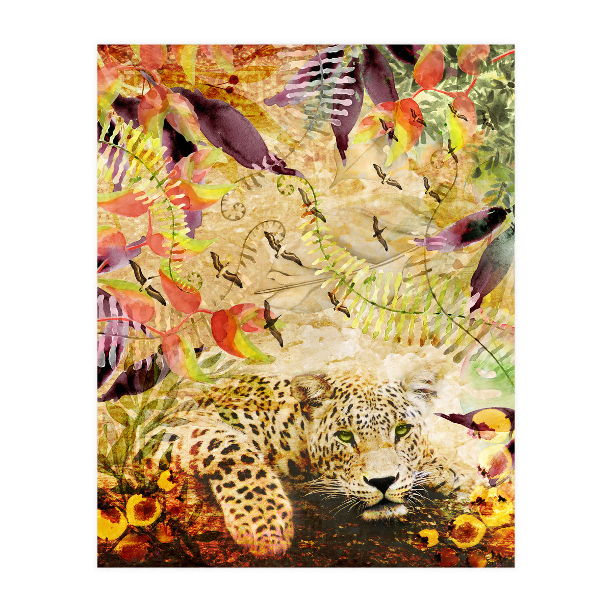 A Life Wild (Print Only)