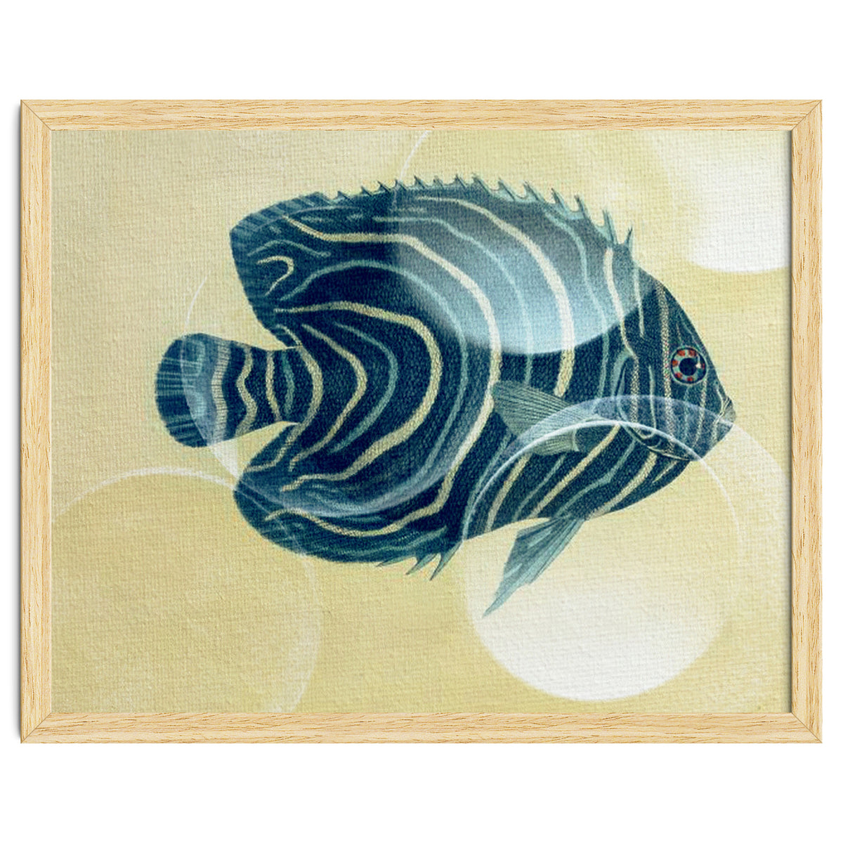 Fish Between Circles