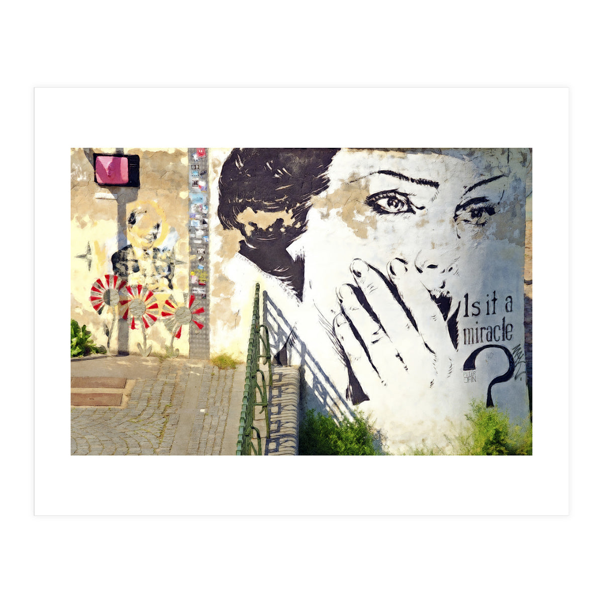 Beauty of decay (Print Only)