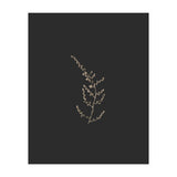 Delicate Golden Fynbos Botanicals on Black (Print Only) thumbnail