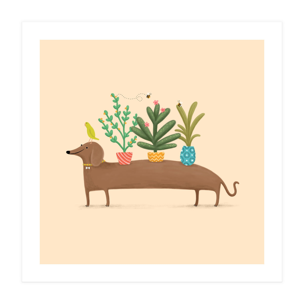 Dachshund And Parrot (Print Only)