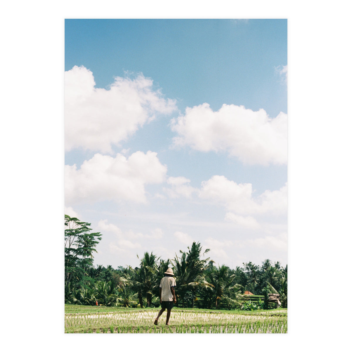 UBUD (Print Only)