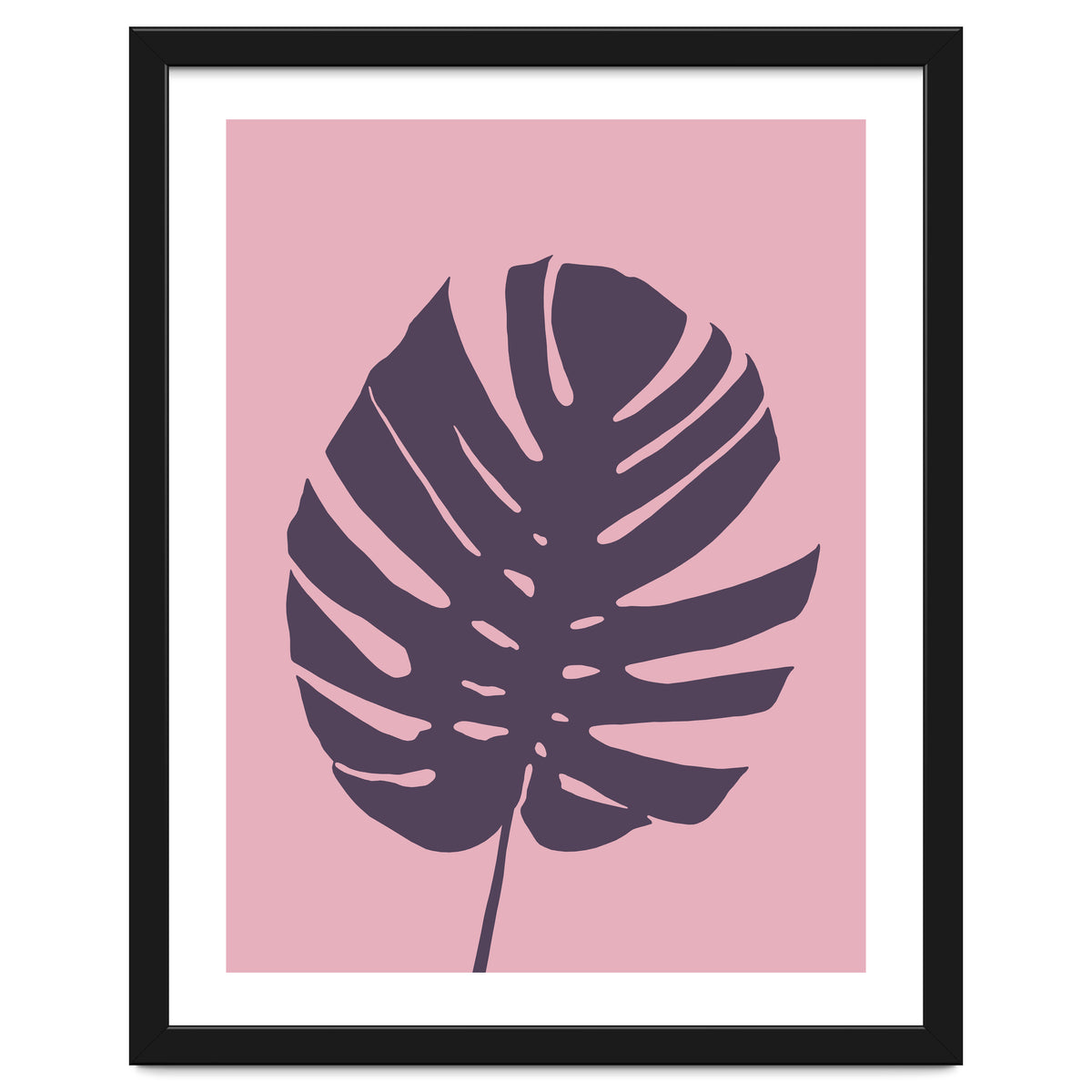 Monstera Deliciosa III