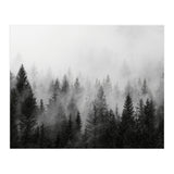 Black and White Forest (Print Only) thumbnail