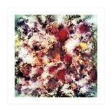 Compression (Print Only) thumbnail
