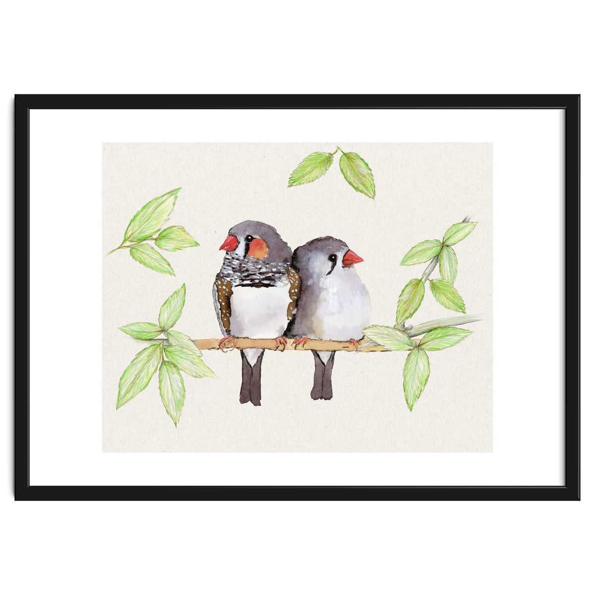 Sweet couple of zebra finches