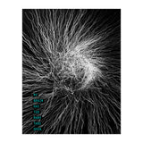 Mad Mind 1 (Print Only) thumbnail