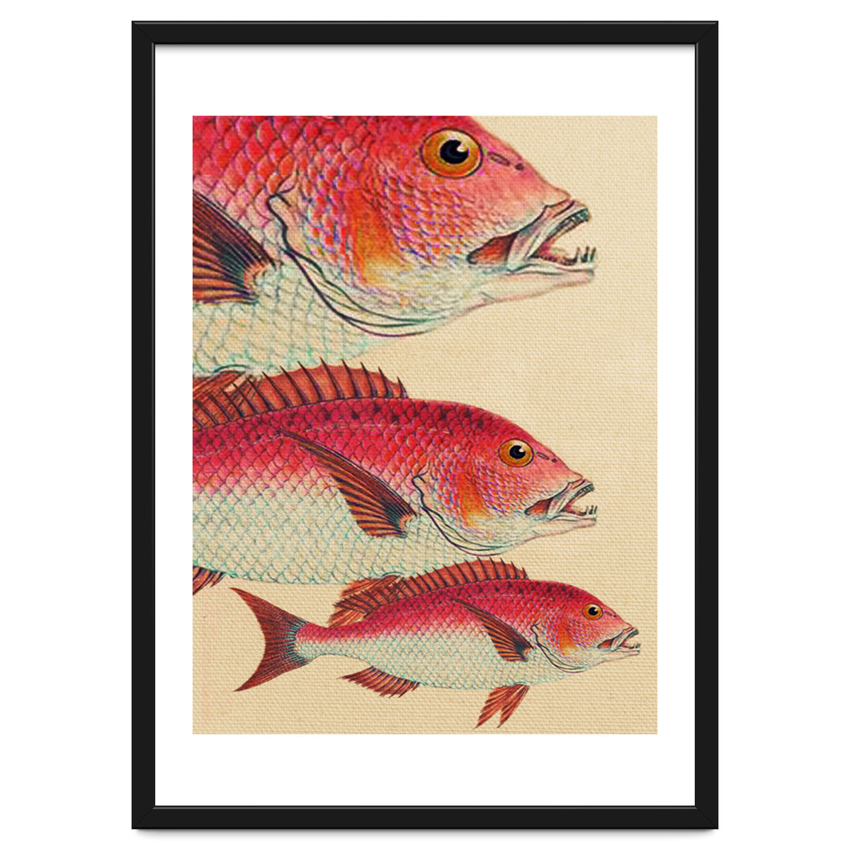 Fish Classic Designs 7