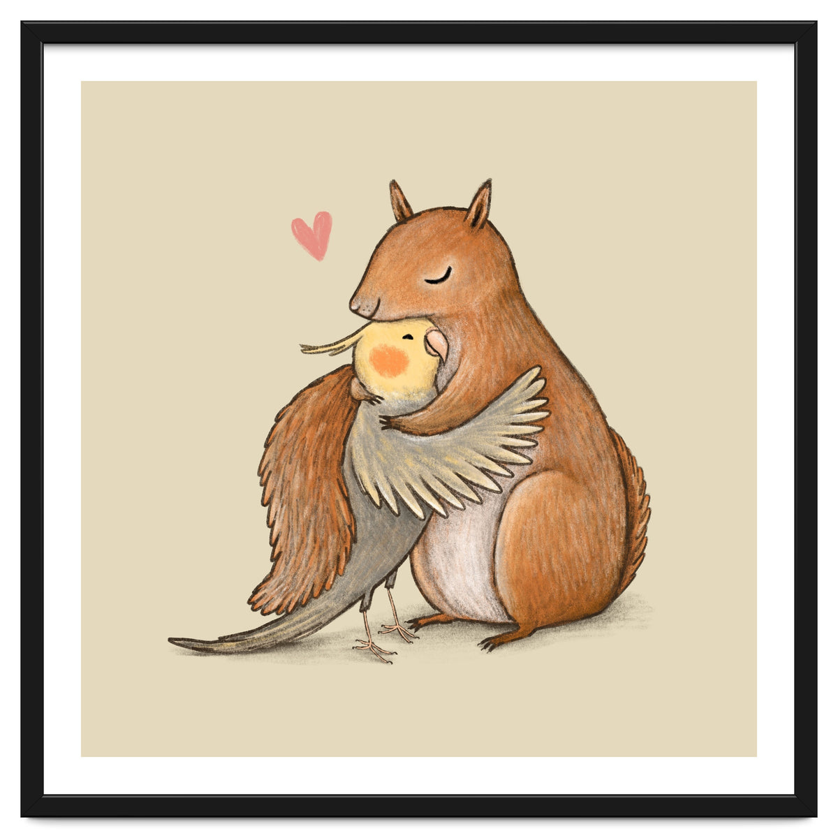 Cockatiel And Squirrel