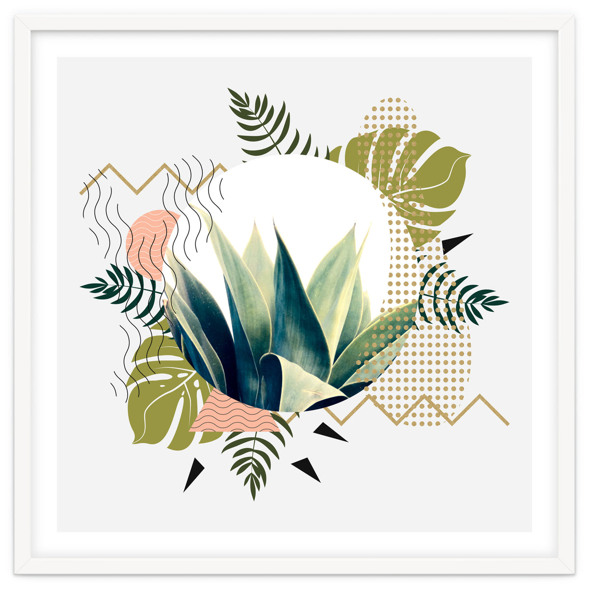 Abstract geometrical and botanical shapes