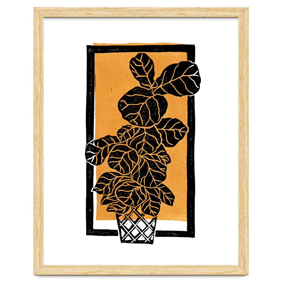 Fiddle Leaf Fig Clean + Sunlight